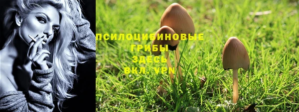 apvp Костерёво