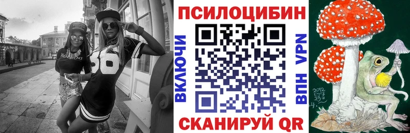 Купить где  Киржач  Галлюциногенные грибы Psilocybine cubensis 
